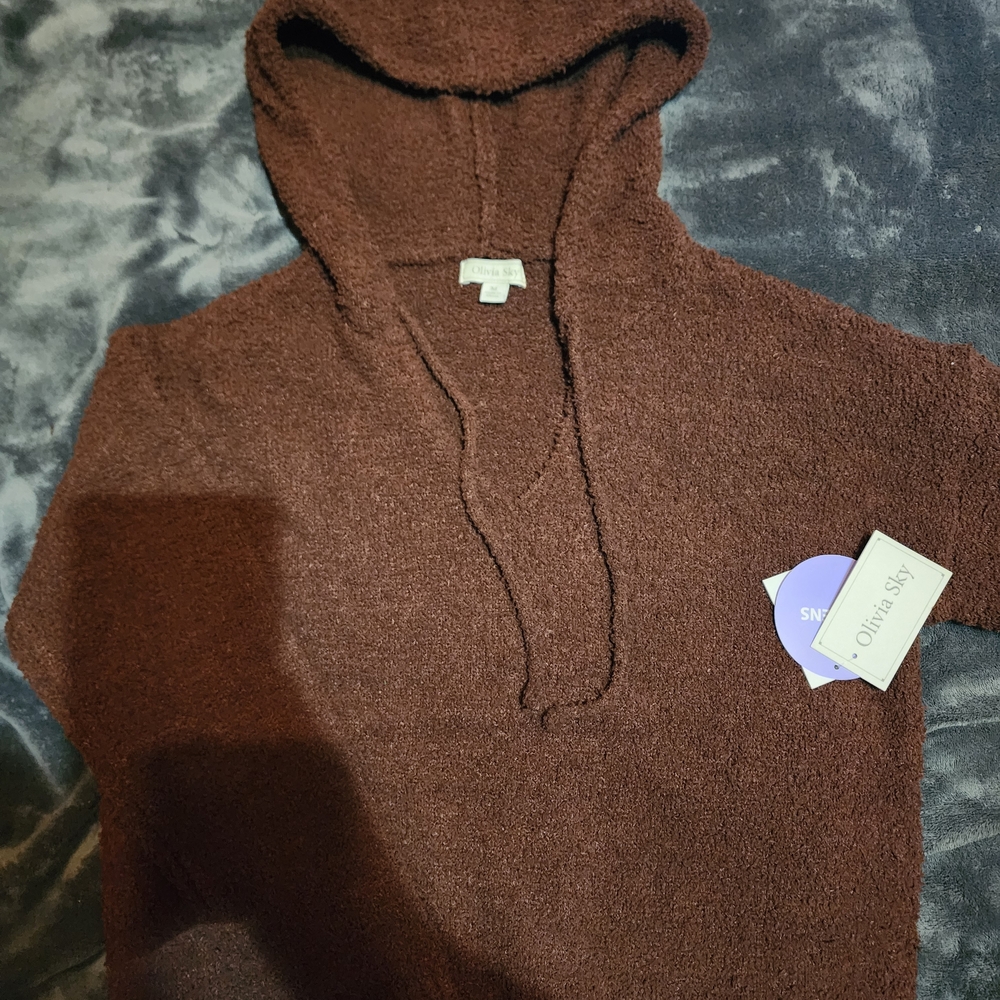 Olivia Sky Chocolate Brown Hooded Sweater